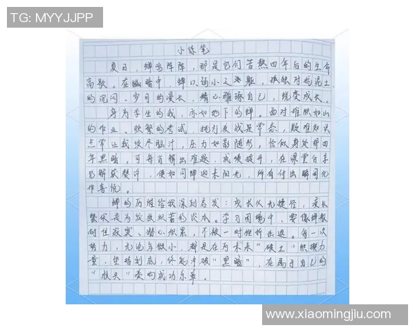 代怀博的成长之路与未来展望：从挑战到机遇的精彩旅程