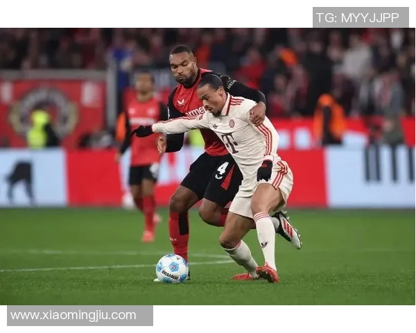 法国与德国足球对决前瞻分析及比赛结果预测