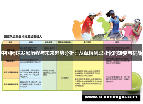 中国网球发展历程与未来趋势分析：从草根到职业化的转变与挑战