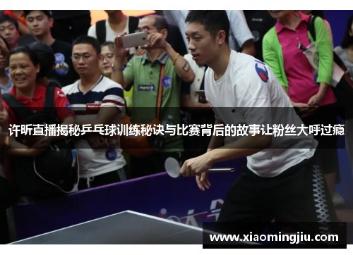 许昕直播揭秘乒乓球训练秘诀与比赛背后的故事让粉丝大呼过瘾