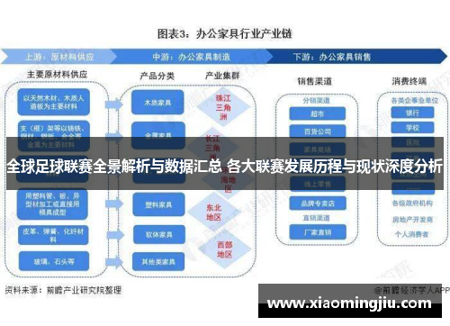 全球足球联赛全景解析与数据汇总 各大联赛发展历程与现状深度分析